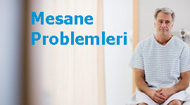 Mesane Problemleri