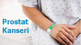 Prostat Kanseri